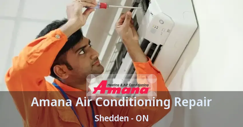 Amana Air Conditioning Repair Shedden - ON