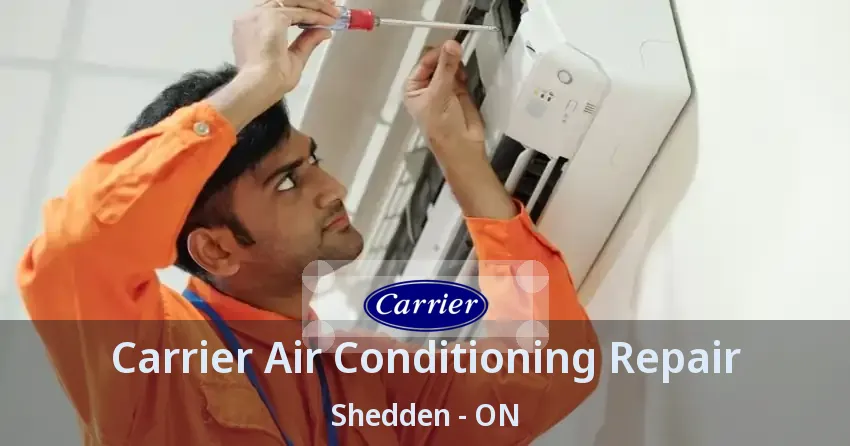 Carrier Air Conditioning Repair Shedden - ON