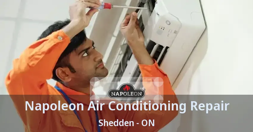 Napoleon Air Conditioning Repair Shedden - ON