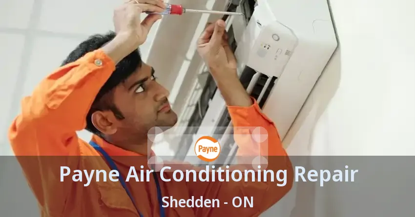 Payne Air Conditioning Repair Shedden - ON