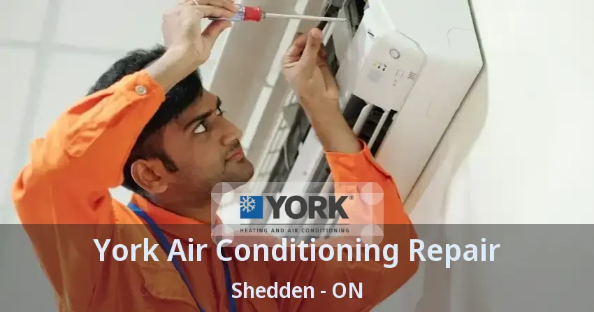 York Air Conditioning Repair Shedden - ON