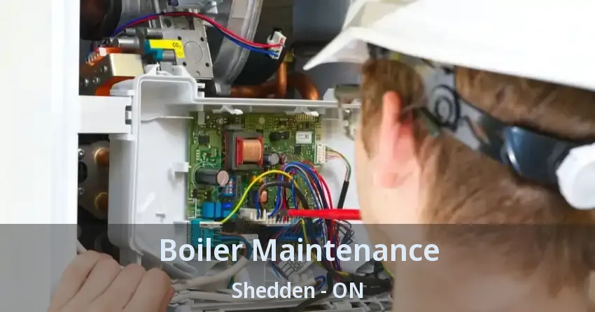 Boiler Maintenance Shedden - ON