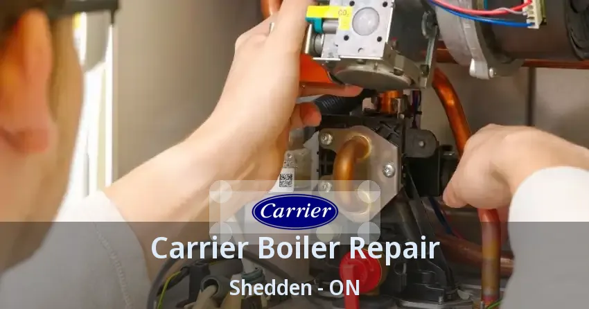 Carrier Boiler Repair Shedden - ON