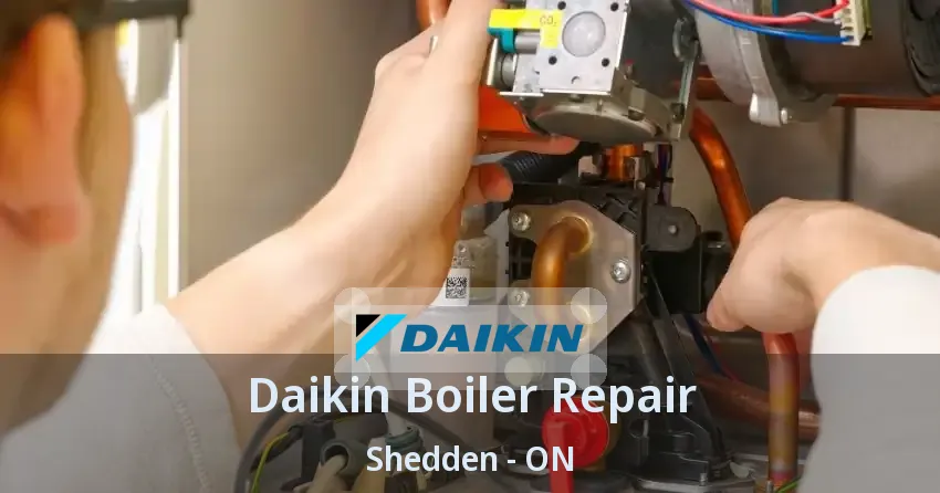 Daikin Boiler Repair Shedden - ON