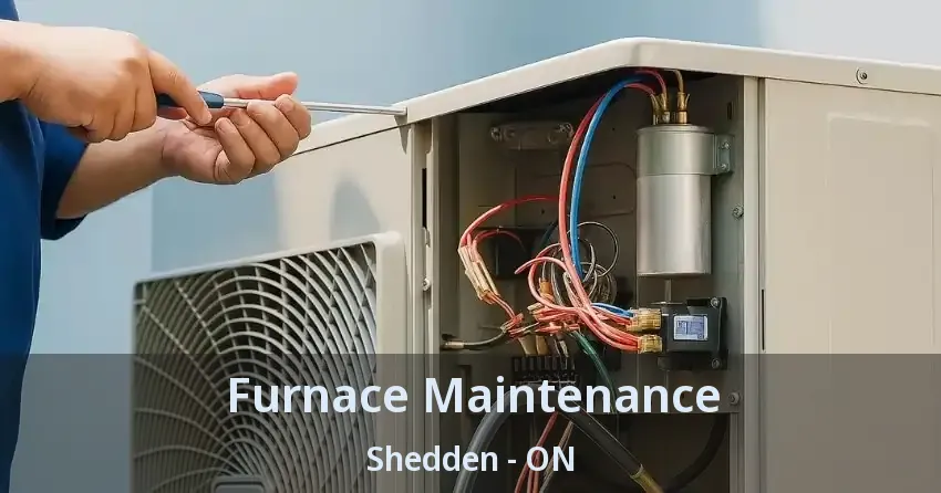 Furnace Maintenance Shedden - ON