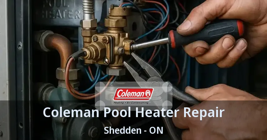 Coleman Pool Heater Repair Shedden - ON