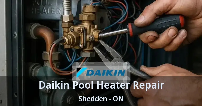 Daikin Pool Heater Repair Shedden - ON
